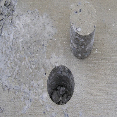 تست کرگیری- تکنوپل